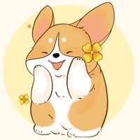 好好养宠物ios版