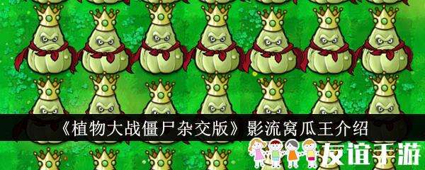 植物大战僵尸杂交版影流窝瓜王介绍