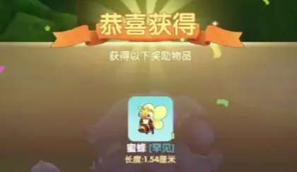 摩尔庄园蜜蜂怎么抓 摩尔庄园蜜蜂捕获方法