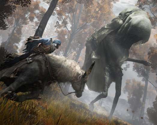 艾尔D法环ios版1