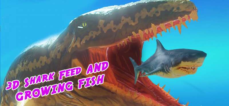 3D Shark Feed and Growing Fishios版0