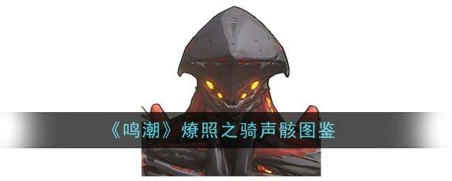 鸣潮燎照之骑声骸图鉴