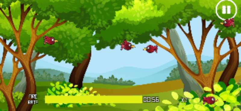 BirdHunting Playgroundios版1