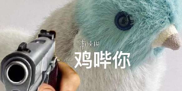 鸡哔你表情包大全-鸡哔你表情包汇总