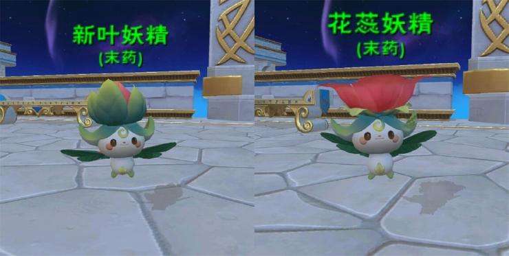 创造与魔法草系妖精如何获取