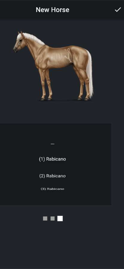 NOBLE HORSE DESIGNERios版1