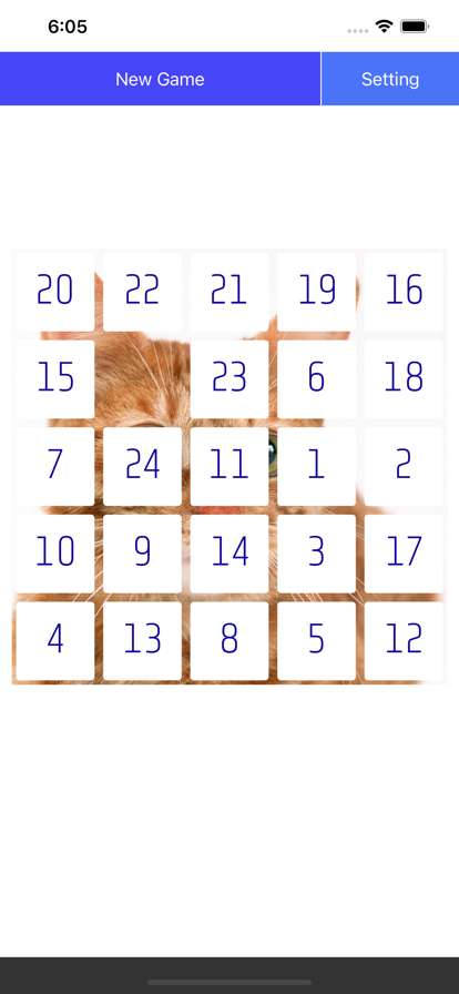 Twenty Five Puzzleios版2