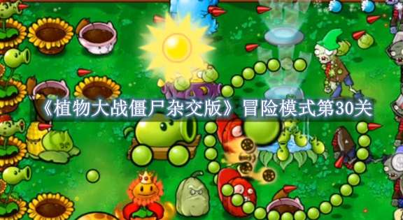《植物大战僵尸杂交版》冒险模式第30关通关攻略