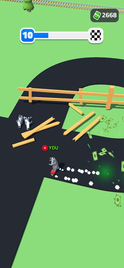 Racoon Racing 3Dios版6