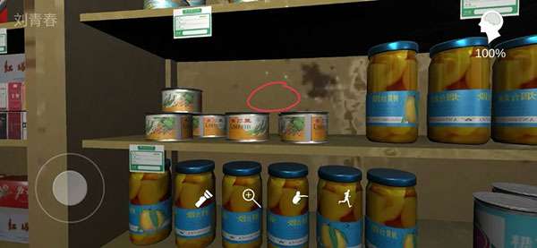 孙美琪疑案郎威4