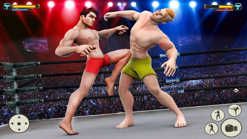 功夫战士空手道战斗ios版2