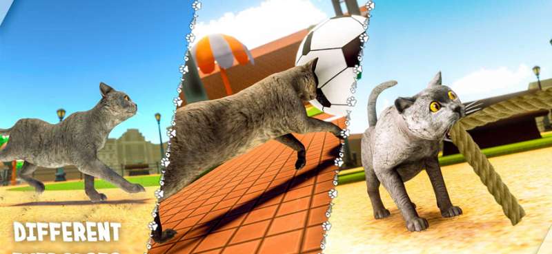 我的宠物猫岛模拟器 3dios版4