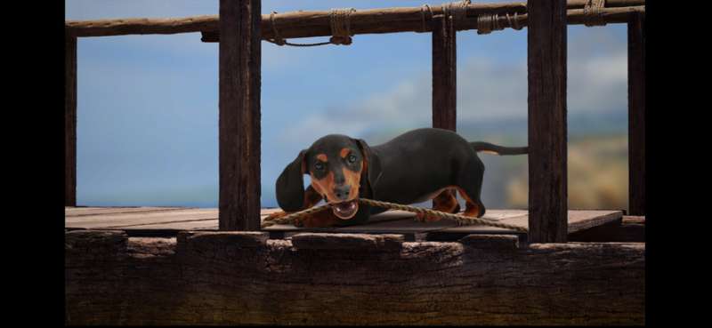 The Lost Dachshundios版6