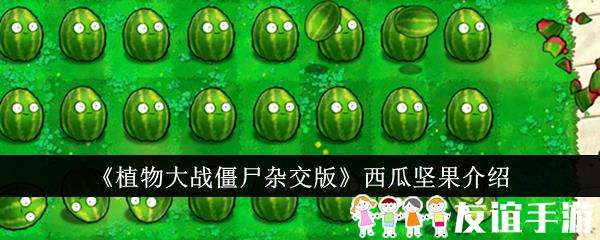 植物大战僵尸杂交版西瓜坚果介绍