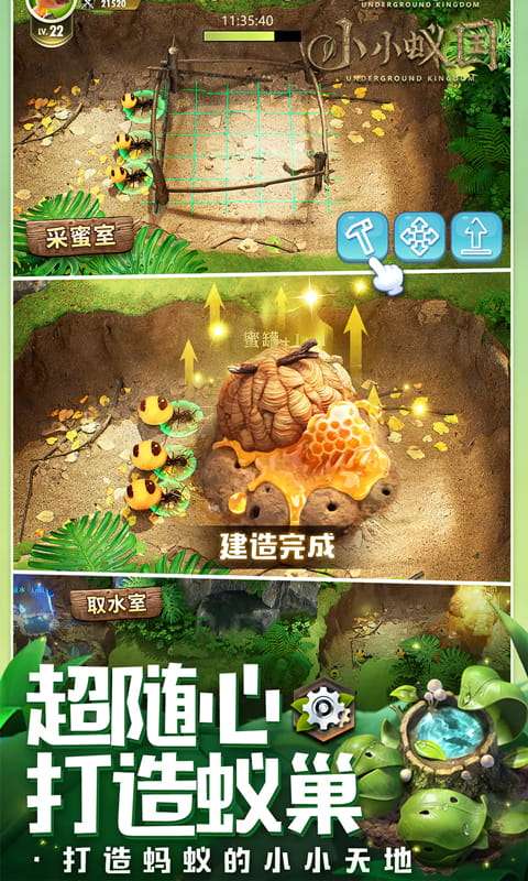小小蚁国(极速发育版)1