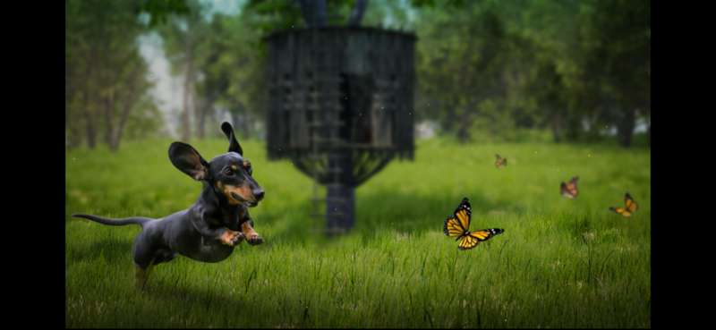 The Lost Dachshundios版1