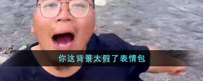 你这背景太假了表情包