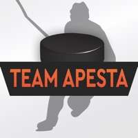 The best hockey team Apestaios版