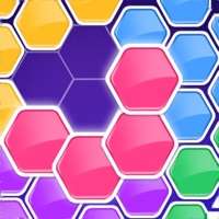 Hexa Block Puzzle Game Maniaios版