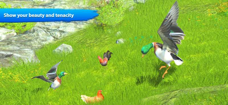 飞鸭家庭模拟器ios版5