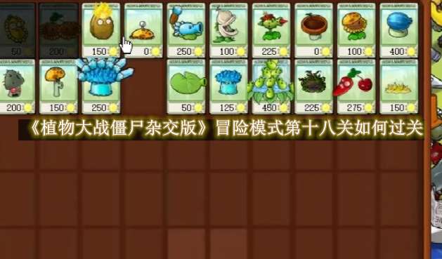 植物大战僵尸杂交版冒险模式第十八关如何过关