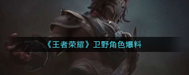 《王者荣耀》卫野角色爆料