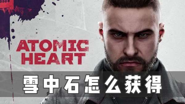 原子之心雪中石怎么获得