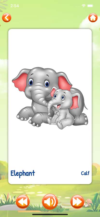 ABCD Learning lettersios版1