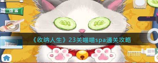 《收纳人生》23关喵喵spa通关攻略