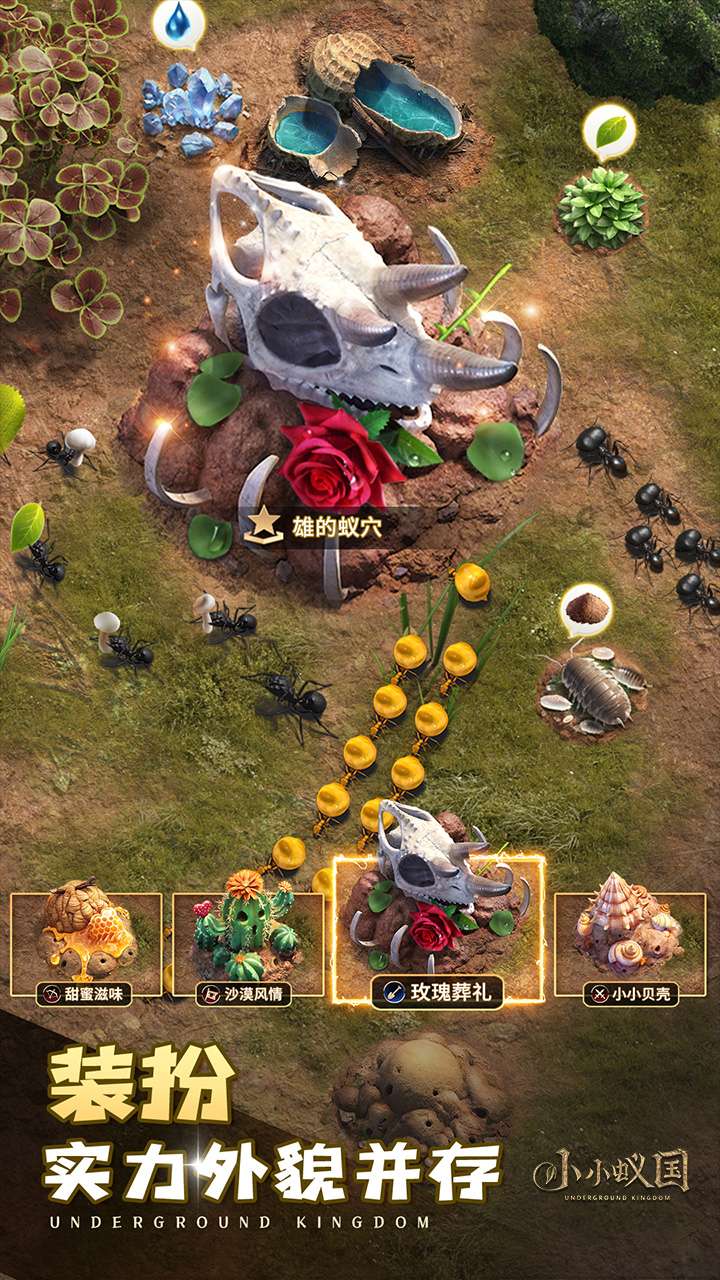 小小蚁国（无垠荒野）3