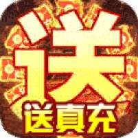 奇门飞花令-特权送真充