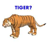 Sort Animals 3Dios版