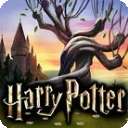 哈利波特霍格沃茨之谜