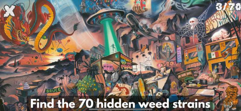 Say What You Smokeios版0