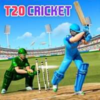 T20 板球世界杯 2022ios版