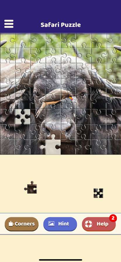Safari Jigsaw Puzzleios版4