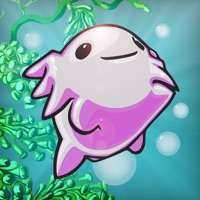 Trippy Salamander Infinteios版