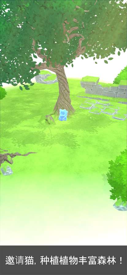 猫与秘密森林ios版2