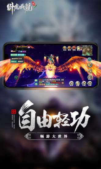 卧虎藏龙(删档内测)1