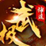 武极神途单职业