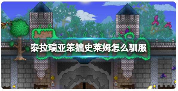 泰拉瑞亚怎么驯服笨拙史莱姆 有关笨拙史莱姆驯服的条件一览