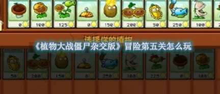 《植物大战僵尸杂交版》冒险第五关怎么玩