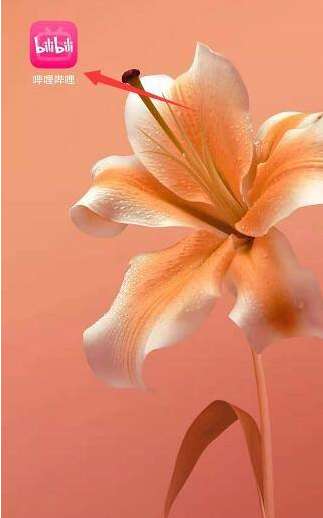 哔哩哔哩怎么设置默认图片质量-哔哩哔哩设置默认图片质量的方法