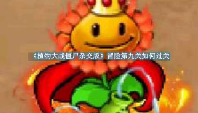 《植物大战僵尸杂交版》冒险第九关如何过关
