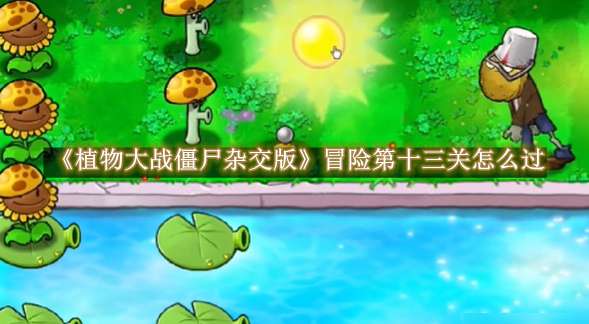 《植物大战僵尸杂交版》冒险第十三关怎么过
