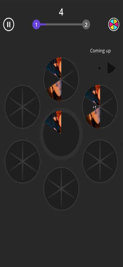 SlicesPictureAccuracyios版0