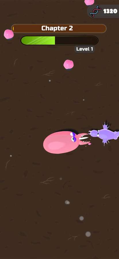 Evolution Race!ios版4