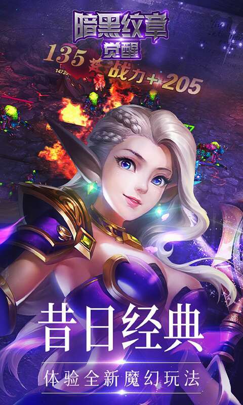 暗黑纹章觉醒(36D勇士)0