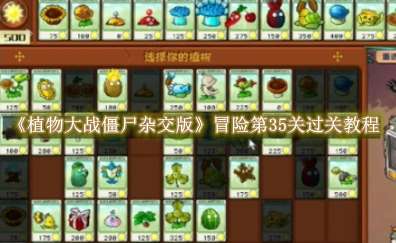《植物大战僵尸杂交版》冒险第35关怎么过关