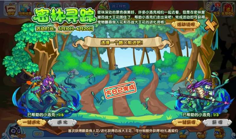 洛克王国密林寻踪活动内容有哪些